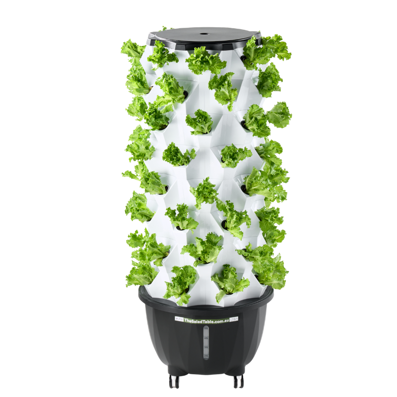 The Large Salad Tower